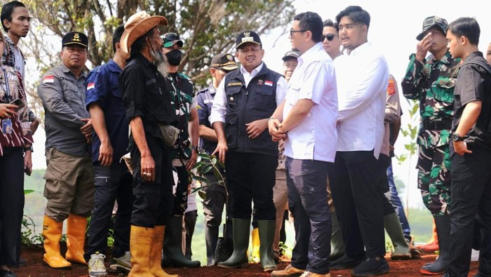 Gerakan Hijau dari Sumedang: Pemkab Tanam 30 Ribu Pohon demi Masa Depan dan Pencegahan Bencana