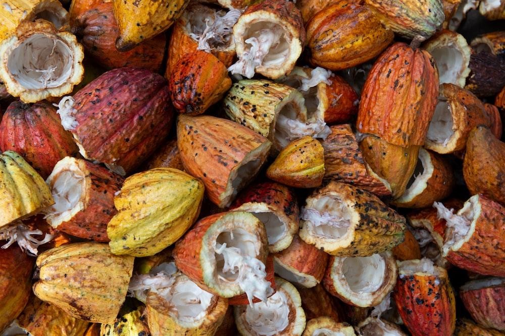 Harga Kakao Melonjak, Indonesia Semakin Kokoh di Peta Perdagangan Cokelat Dunia